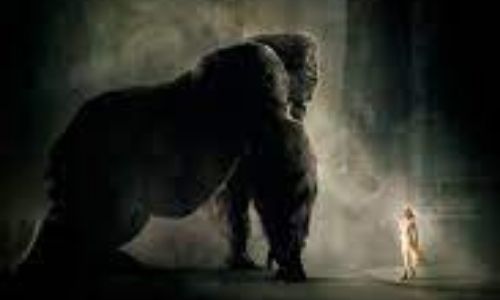 featured_image